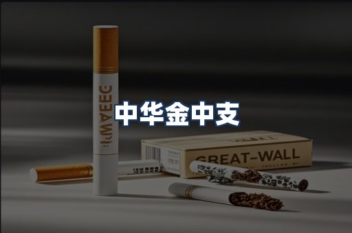 中华金中支